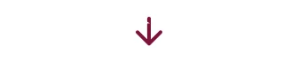 Seta